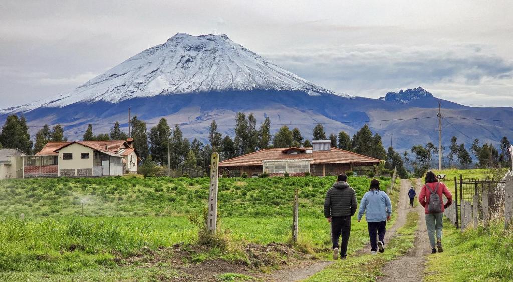 Ecuador Andes Tours - Cotopaxi, Quilotoa & Otavalo