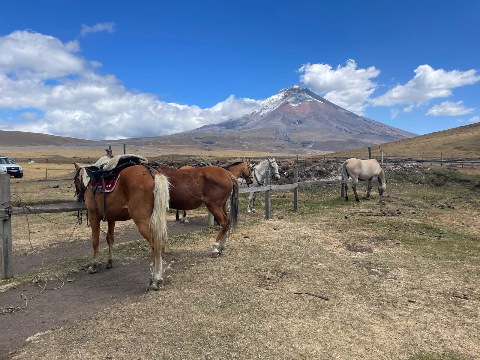 Cotopaxi Volcano Tour